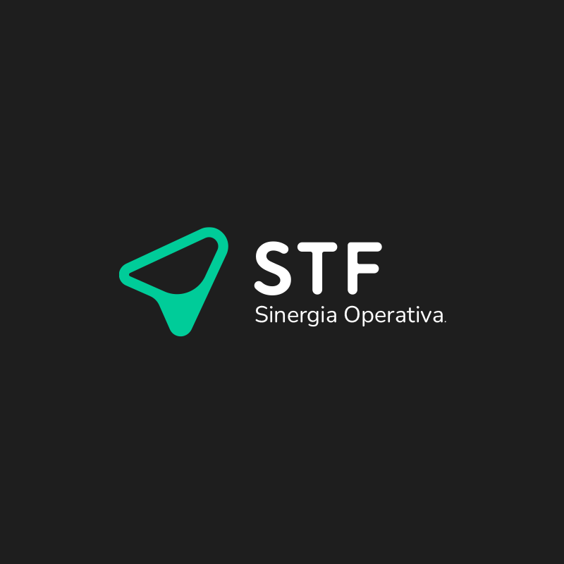 Portfolio Branding Tipo Grafico STF